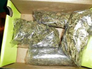 marijuana smuggling